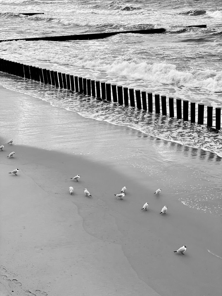 Photograph by Евгения Казакова