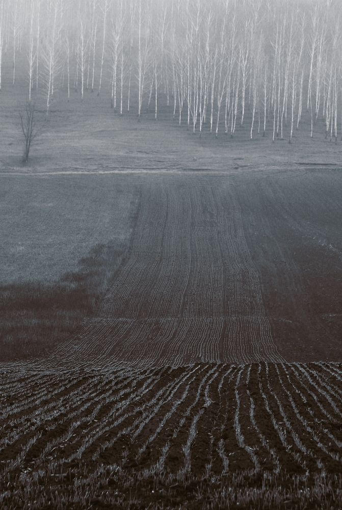 Фотография автора Семенов Николай