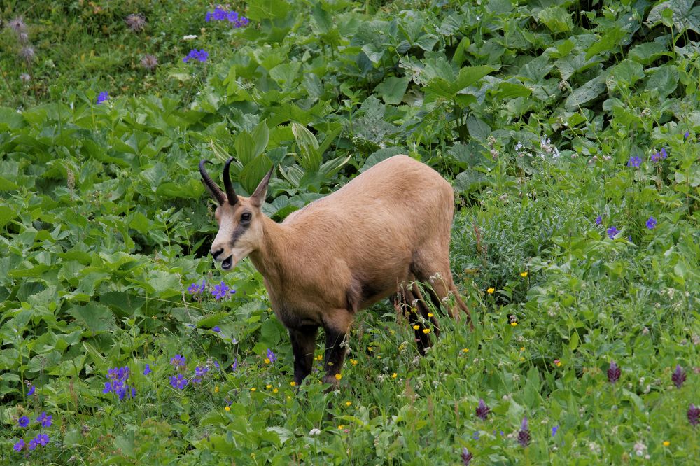 Photograph by Antonio