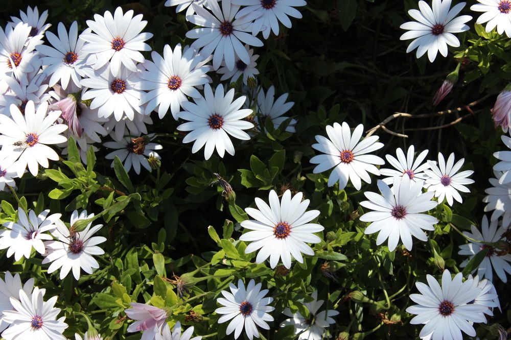 Photograph by Anastasia Kodatenko