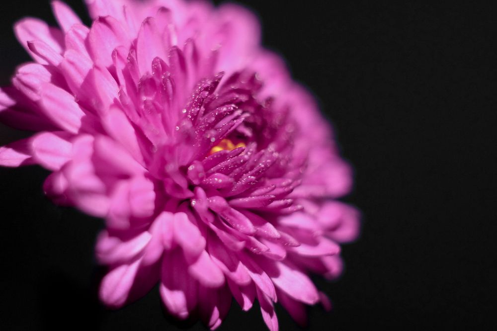 Photograph by Илья Хрусталев