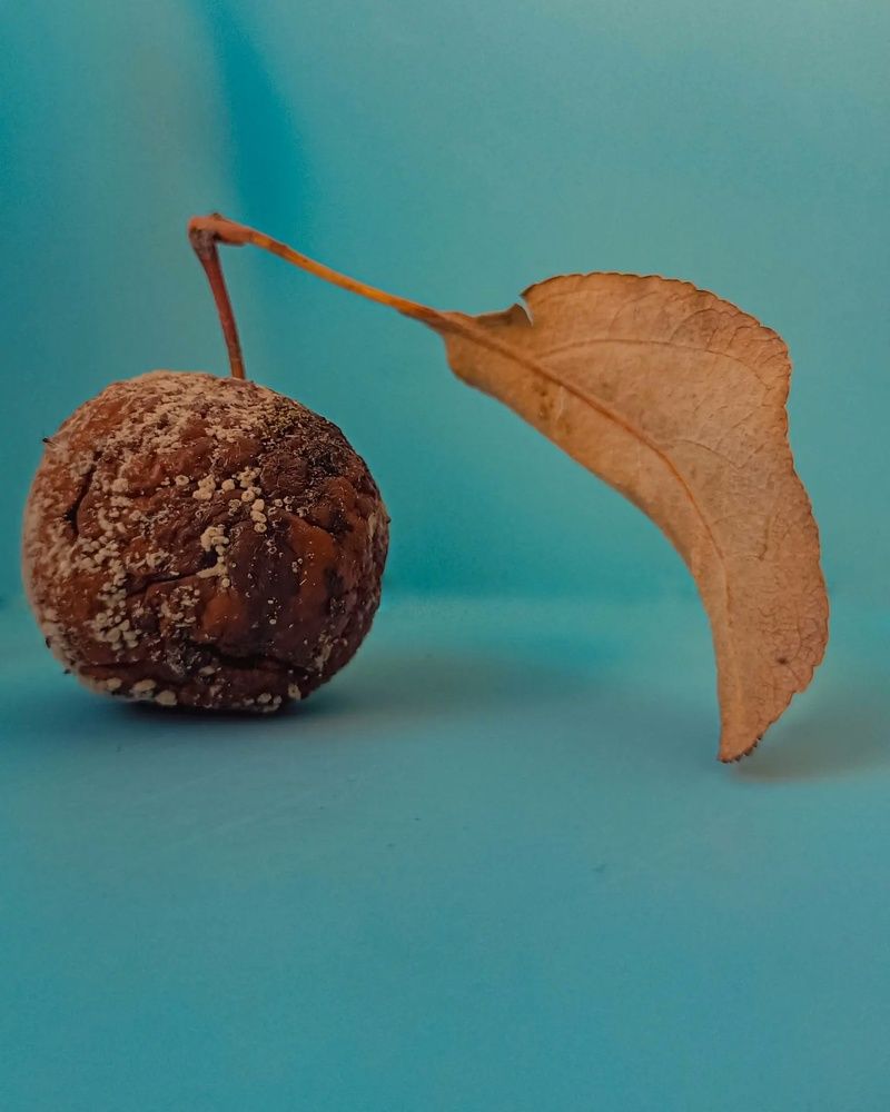 Фотография автора Татьяна Шахова