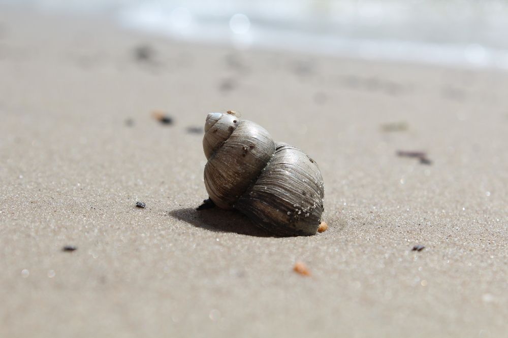 Photograph by Anna Balabanova