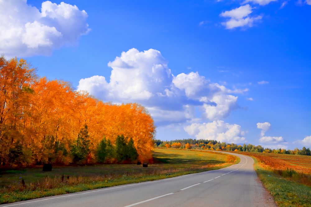 Photograph by Elena Dementova