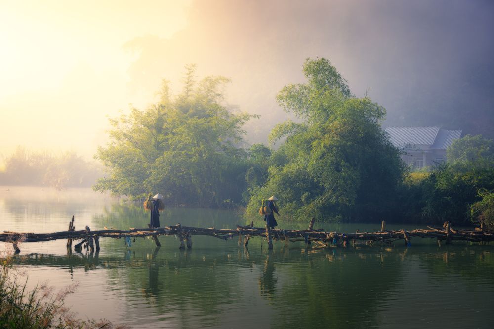 Photograph by Duy Chris