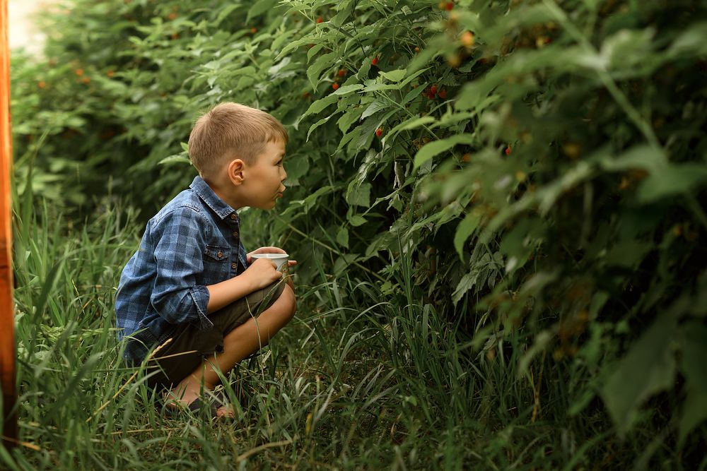 Photograph by Юлия Лепёшкина