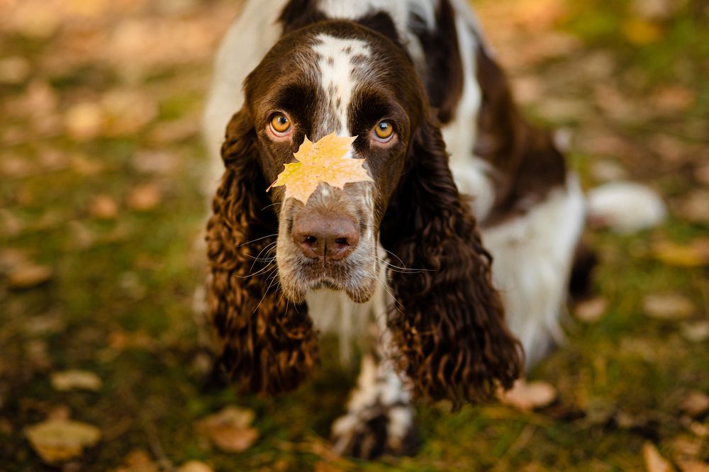 Photograph by Людмила Якурнова