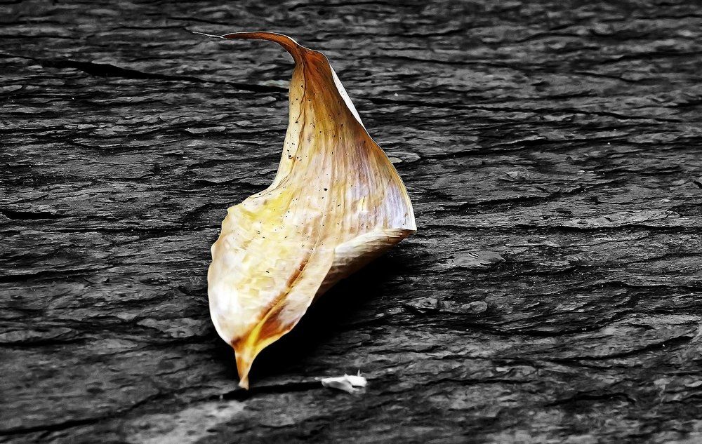 Фотография автора Александр