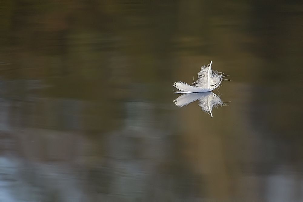 Фотография автора Александр