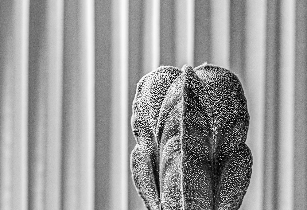 Photograph by Савчук Сергей