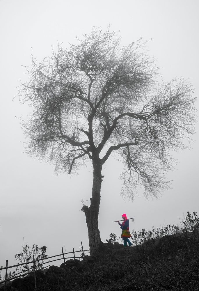 Photograph by Viet Nguyen Ho