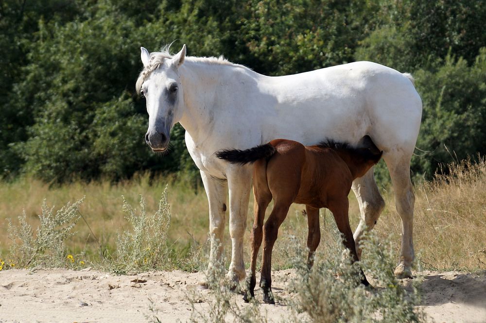 Photograph by Галина Кан