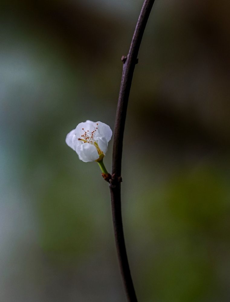 Photograph by Viet Nguyen Ho
