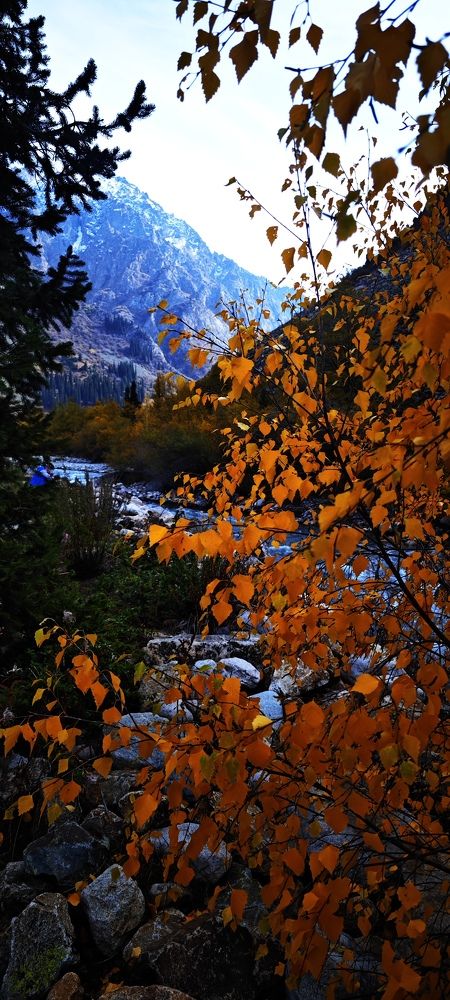 Photograph by Курлова Анна