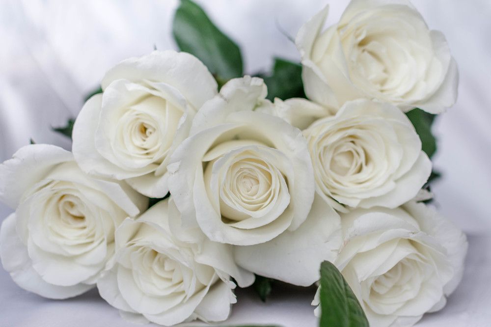 Photograph by Людмила Прибылова