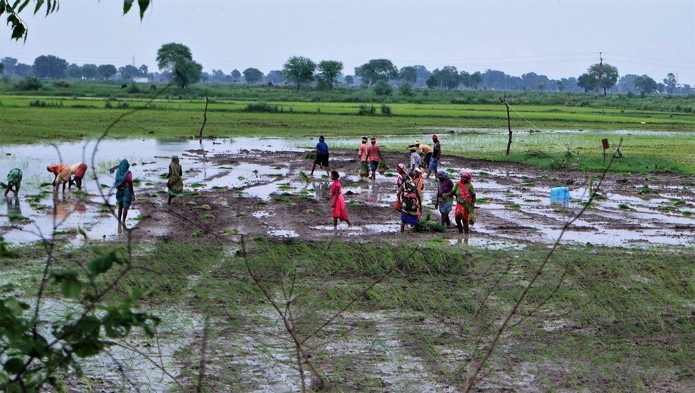 Фотография автора Rajesh Khurana