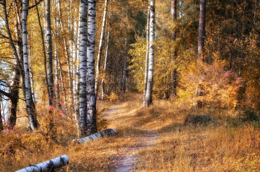 Краски осени.