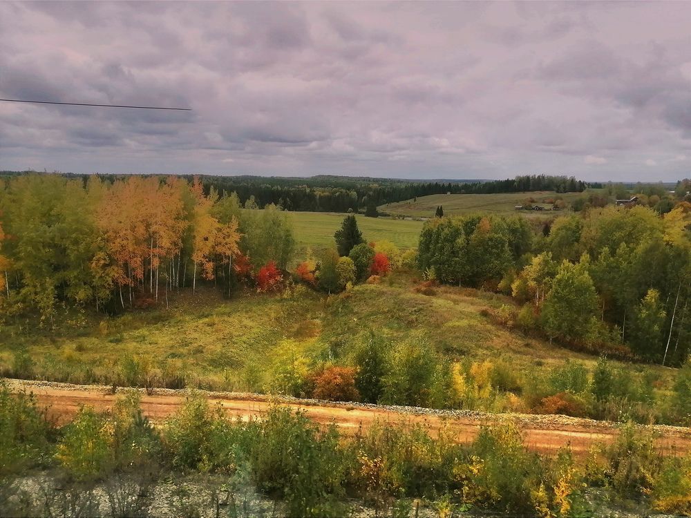 Photograph by Эрика Чечерина