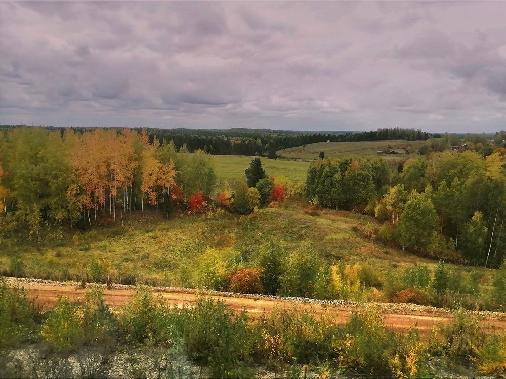 Photograph by Эрика Чечерина