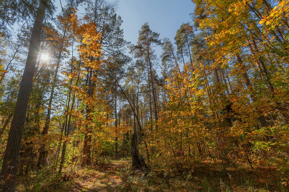 Photograph by Романова Екатерина