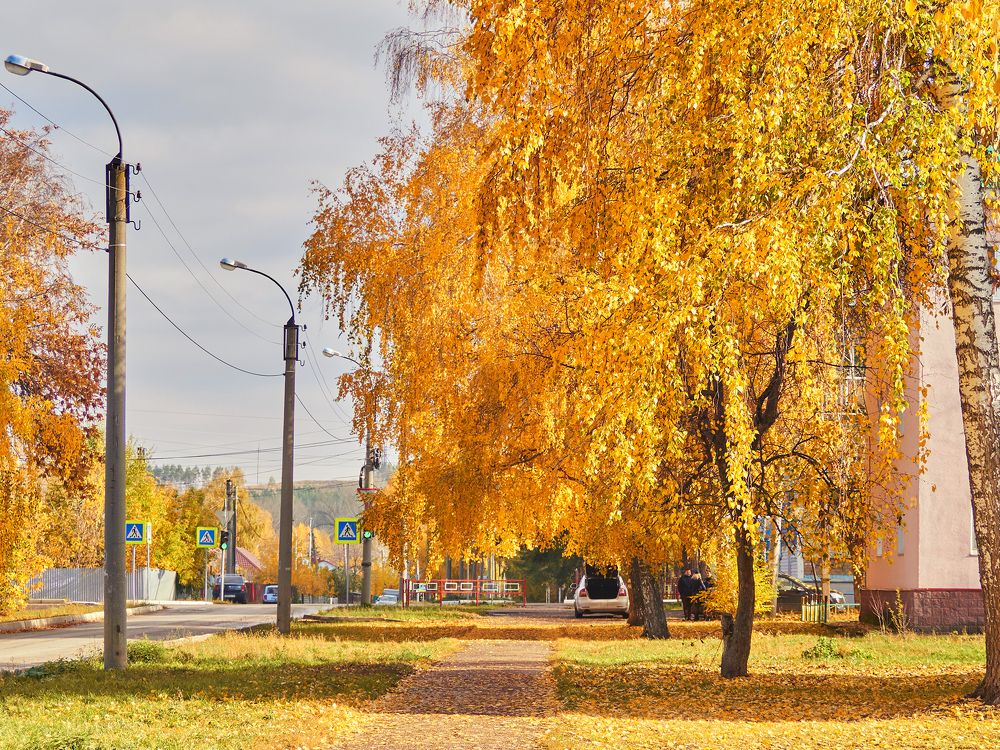 Photograph by Vyacheslav Bashirov