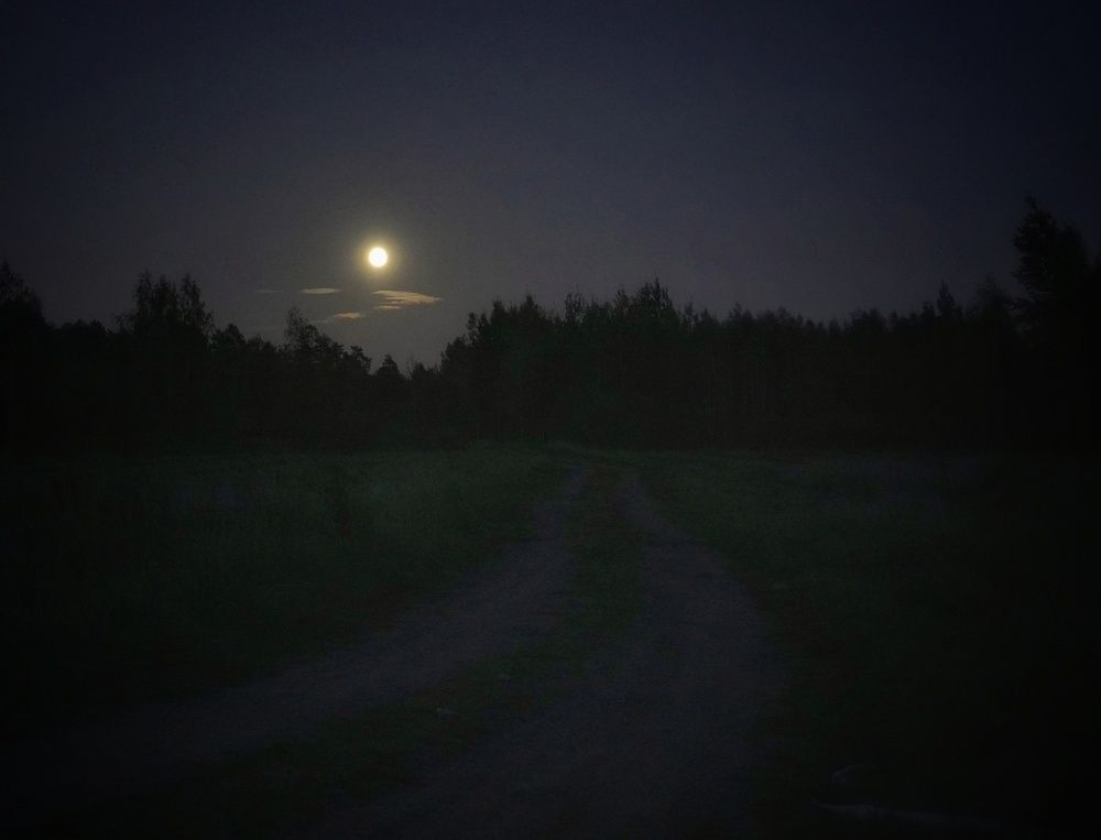 Photograph by Марина Безенкина