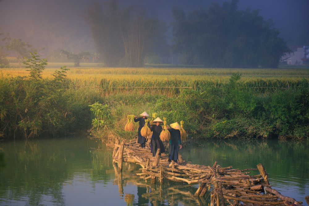 Photograph by Duy Chris