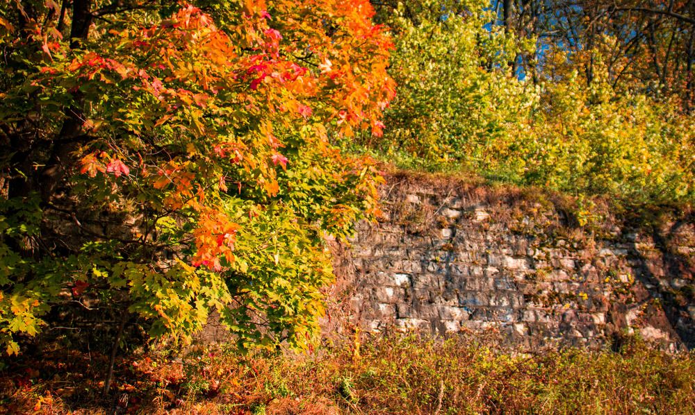 Photograph by Иван Весельников