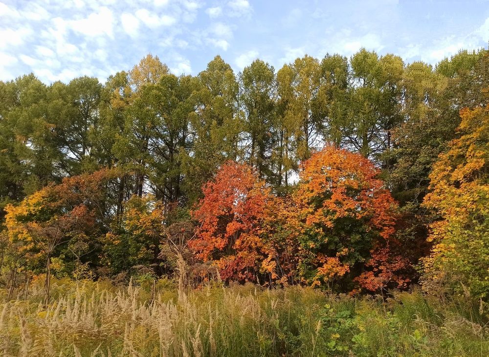 Photograph by Новикова Елена Сергеевна