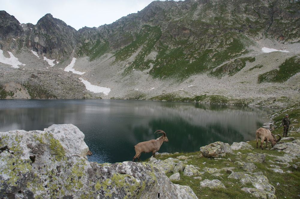 Кавказские туры
