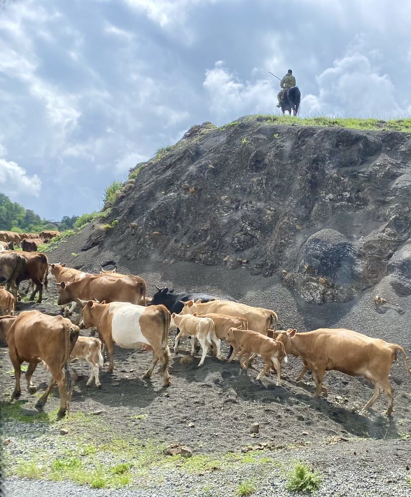 Фотография автора Ольга Горюнова