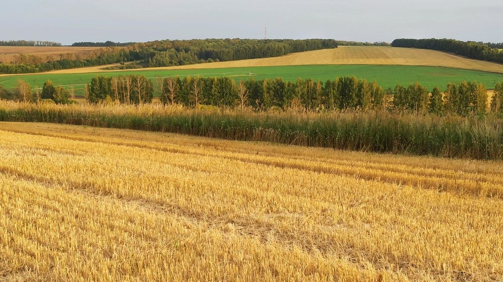 Photograph by Новикова Елена Сергеевна