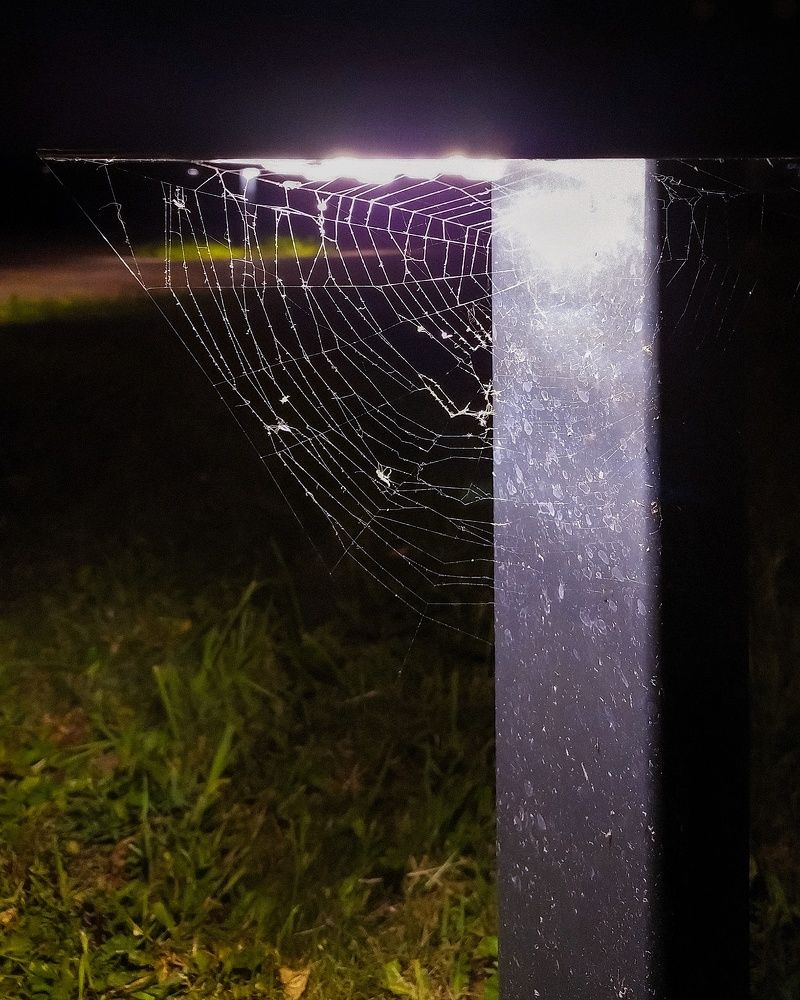 Photograph by Александр Панин