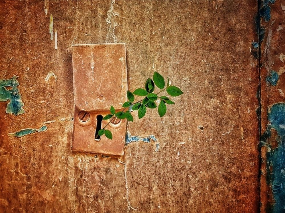 Photograph by Tajouj Hamadto