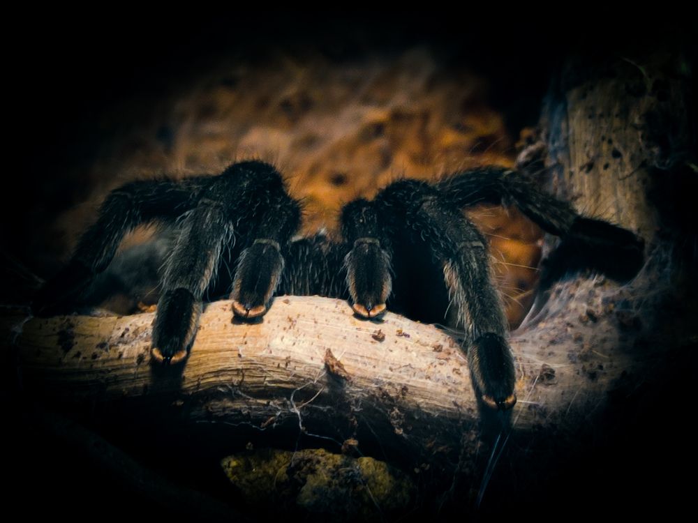 Photograph by Александра Петрова