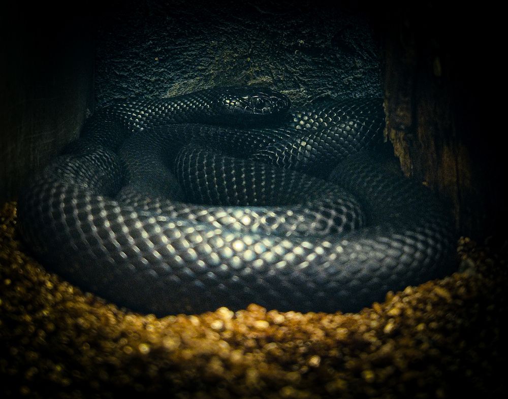 Photograph by Александра Петрова