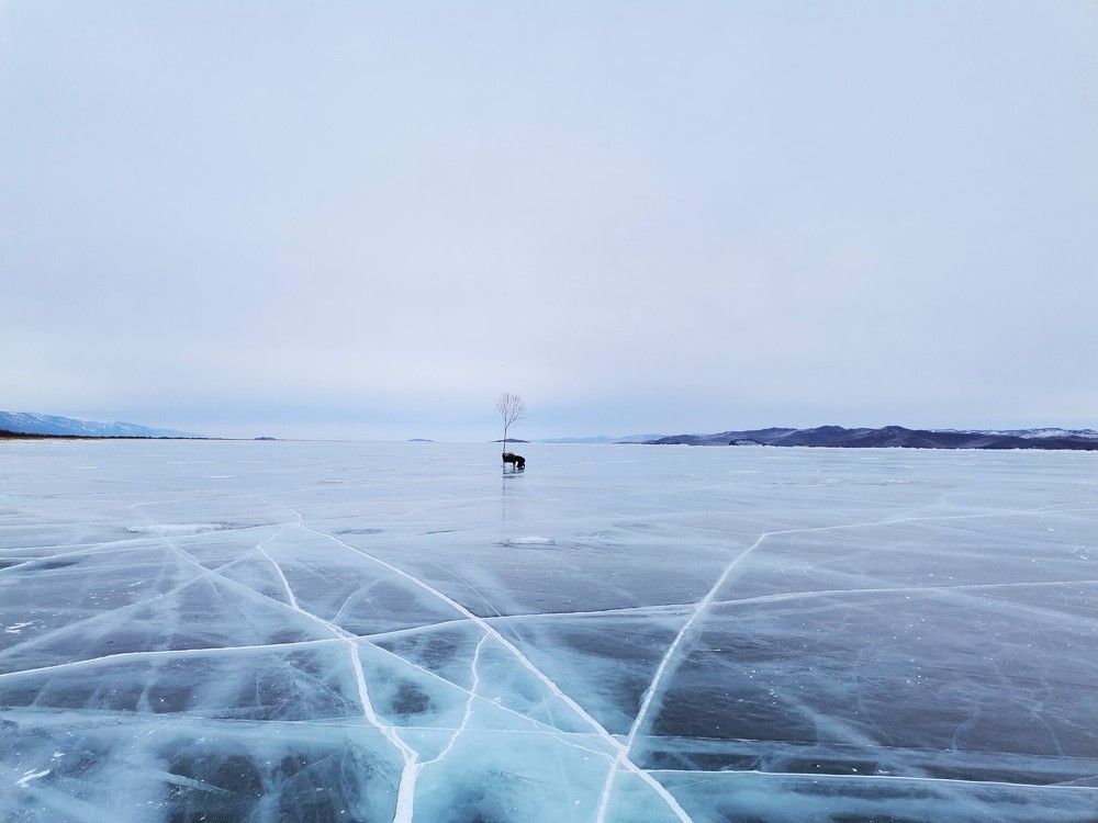 Photo #9625083