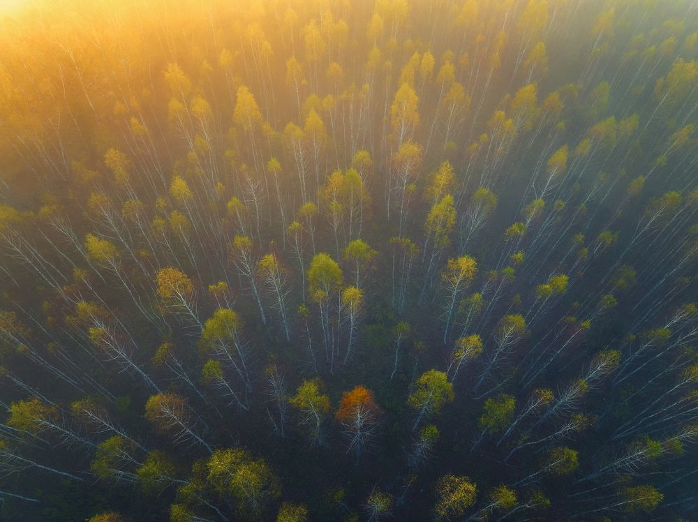 Photograph by Брытков Николай