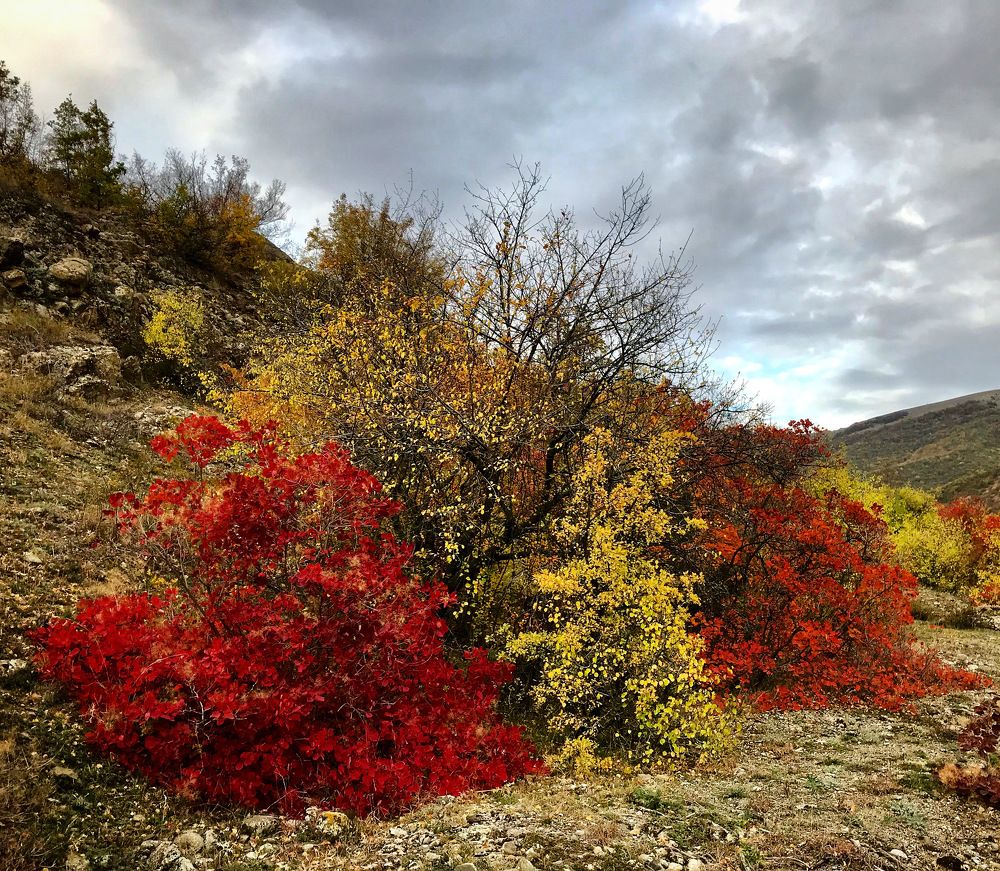 Осень в горах Крыма