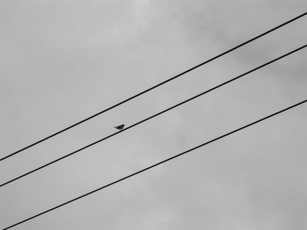 Photograph by Андрей Михайлин