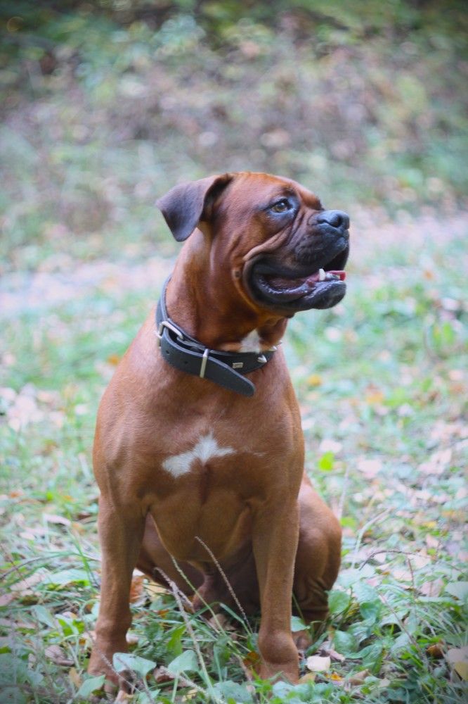 Фотография автора Алексей Шатров
