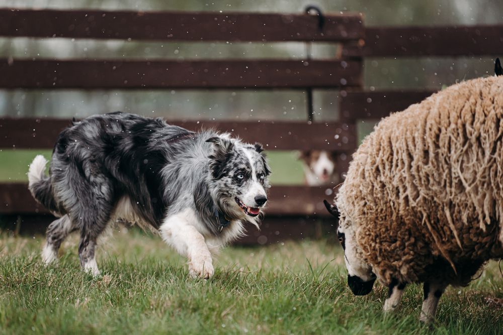 Photograph by Мария