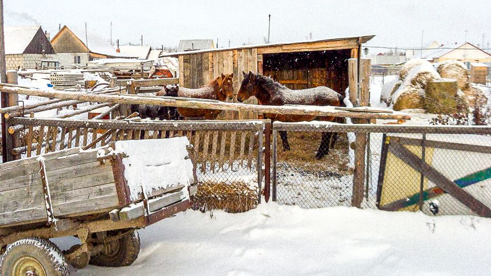 Photograph by Наталья Кокорина