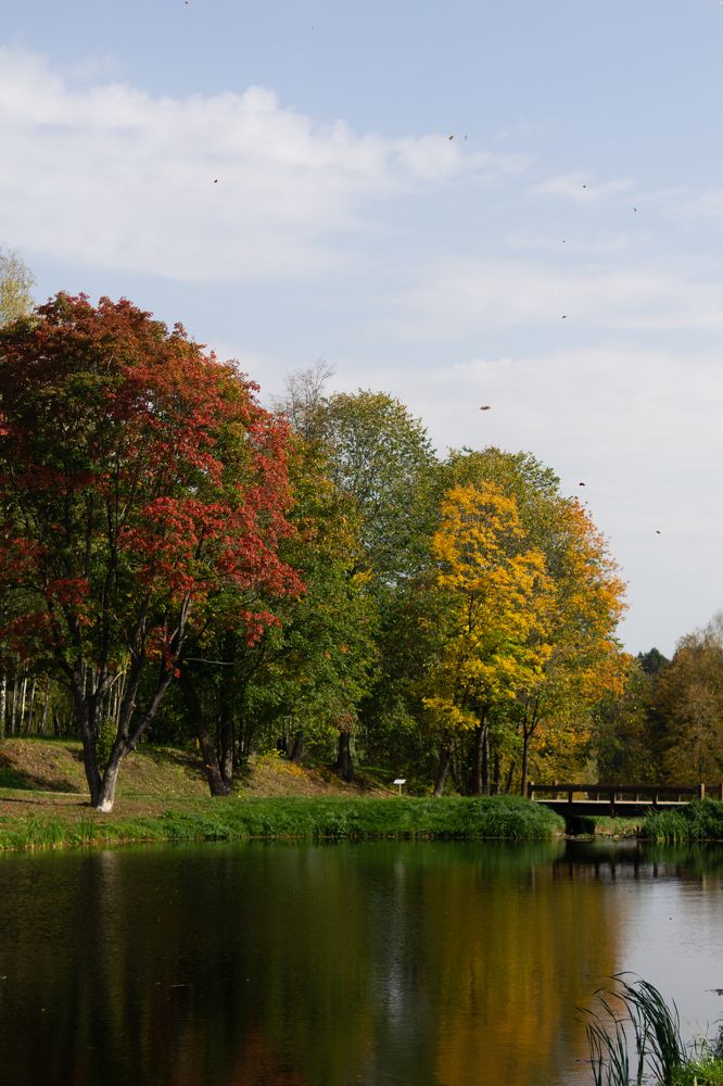 Photograph by Гюзель Даугуль