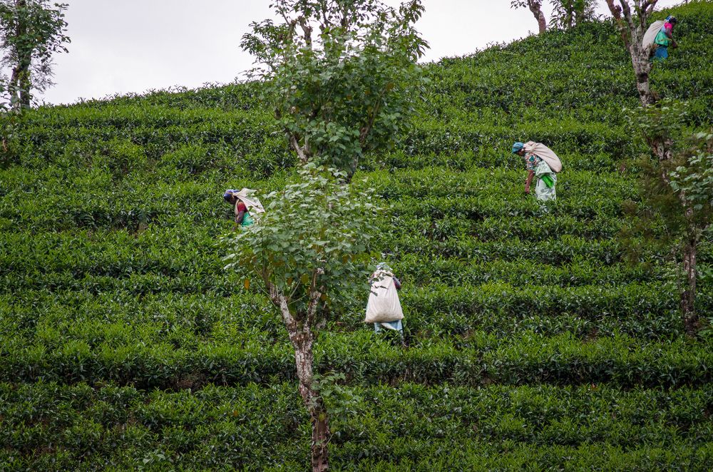 Photograph by Наталья Кокорина