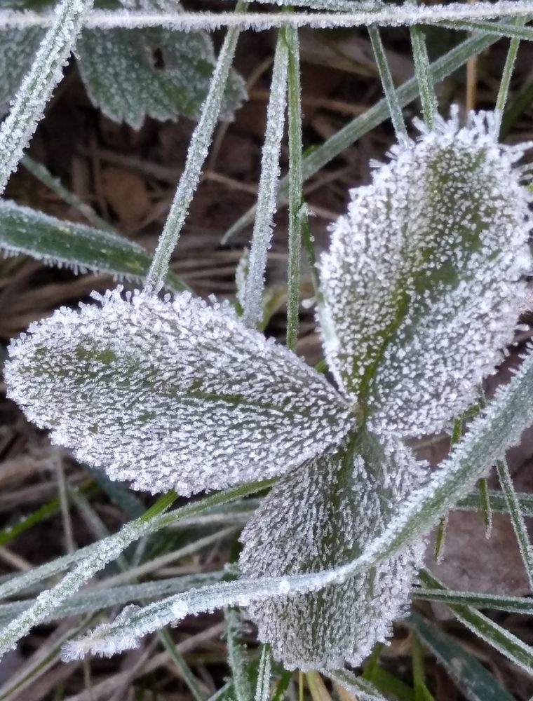 Photograph by Елена Коробченко