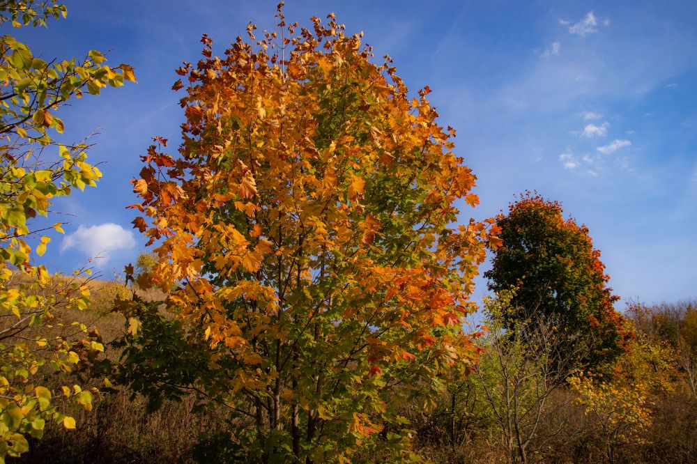 Photograph by Иван Весельников