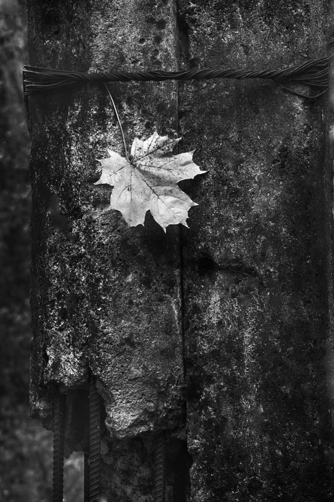 Photograph by Борис Кравецкий
