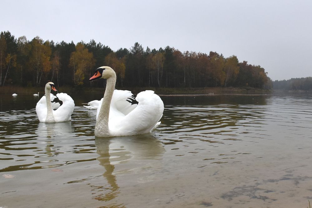 Photograph by Anton Leonchikov