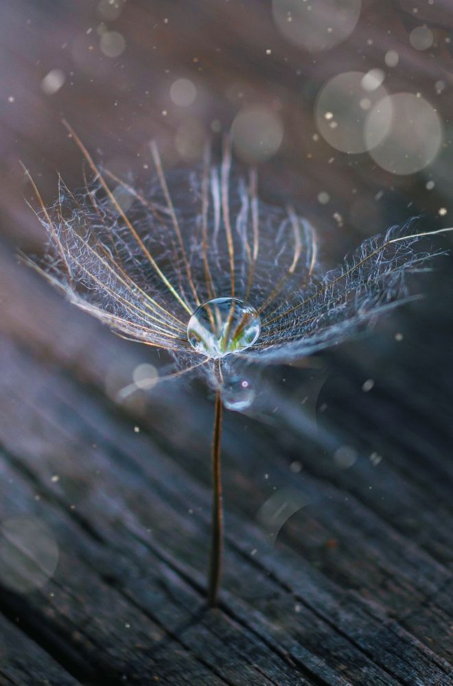 Photograph by Наталья Исиченко